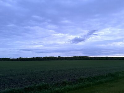 IMG_9952.jpeg