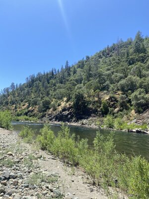IMG_5204.jpeg