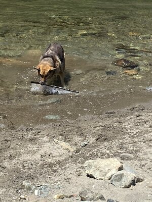 IMG_5205.jpeg