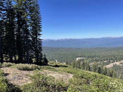 IMG_0770.jpeg