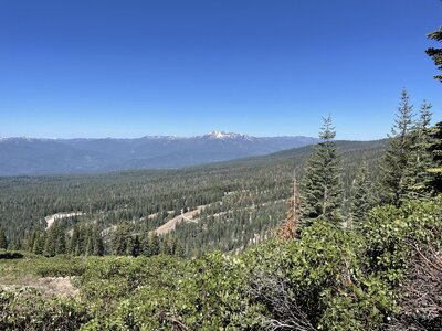 IMG_0769.jpeg