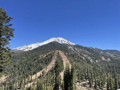 IMG_0768.jpeg