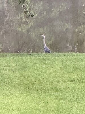 IMG_9997.jpeg