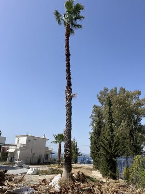 IMG_4785.jpeg IMG_4785.jpeg