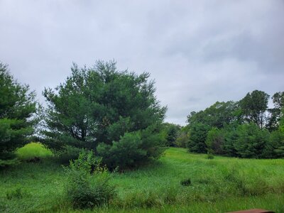 20240623_102209.jpg