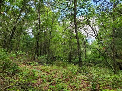 20240623_110659.jpg