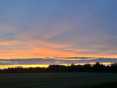 IMG_0056.jpeg
