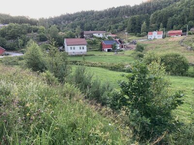 IMG_2019.jpeg