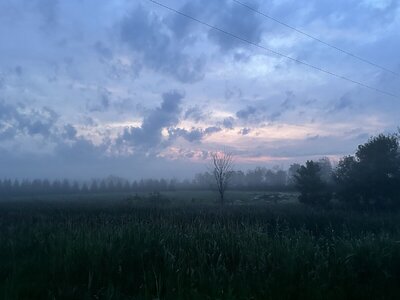 IMG_0079.jpeg