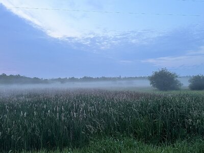 IMG_0083.jpeg