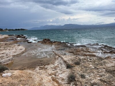 IMG_4922.jpeg