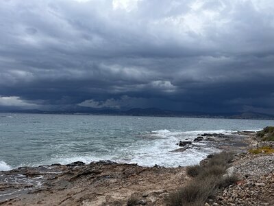 IMG_4924.jpeg