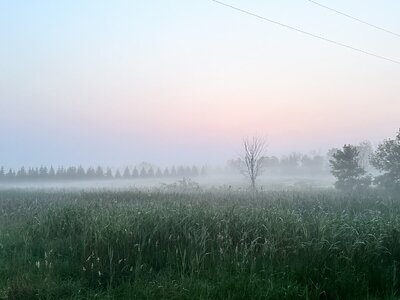 IMG_0102.jpeg