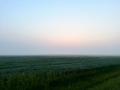 IMG_0103.jpeg