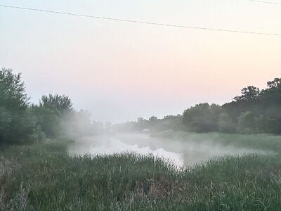 IMG_0104.jpeg