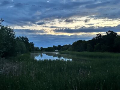 IMG_0132.jpeg