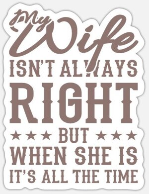 ehemann-sprueche-lustig-hochzeitstag-my-wife-isnt-sticker~2.jpg