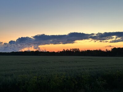 IMG_0138.jpeg