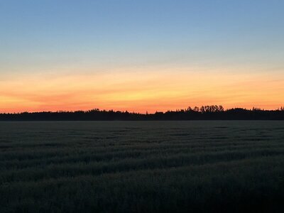IMG_0149.jpeg