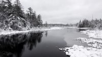 IMG_6172.JPG