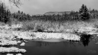 IMG_6177.JPG