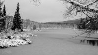 IMG_6176.JPG
