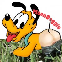 moondoggie.jpg