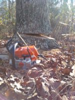 IMG_20161115_101842.jpg