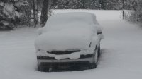 20161210_091210.jpg