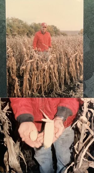 Farming in 1988.jpg