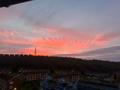 IMG_8117.jpeg IMG_8117.jpeg