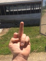 IMG_0024.JPG