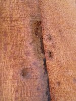 20161214_100235.jpg