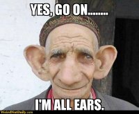 all ears.jpg