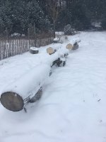 IMG_0381.JPG