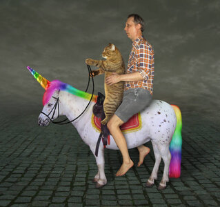 man-and-his-cat-on-the-unicorn (1).jpg