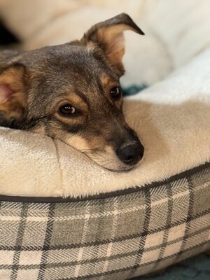 IMG_6035.jpeg