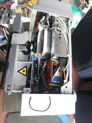 MmsCamera_2025-01-30-11-40-39.jpg