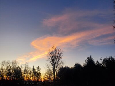 20250130_070830.jpg