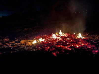 IMG_0772.jpeg