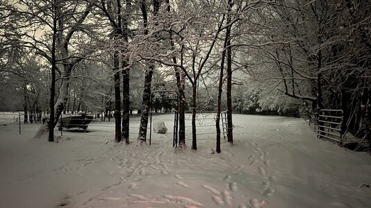 IMG_4180.jpeg