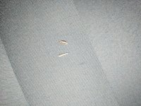 IMG_20161218_101807.jpg