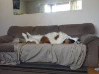 20150305_085853.jpg