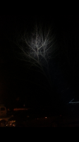 Screenshot_2016-12-20-21-35-55.png