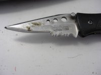kershaw 002.JPG