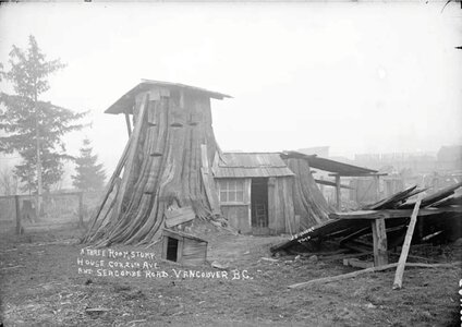 Stump House.jpg