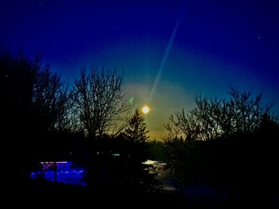IMG_1222.jpeg