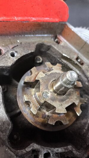 IMG-20250417-WA0182.jpeg