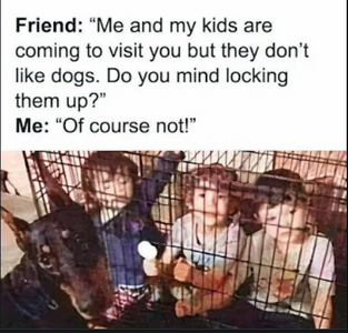 1 dogs.png