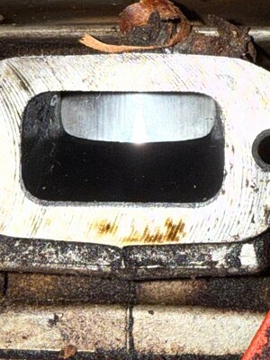 IMG_5810.jpeg